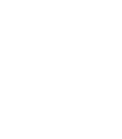 Branding Icon