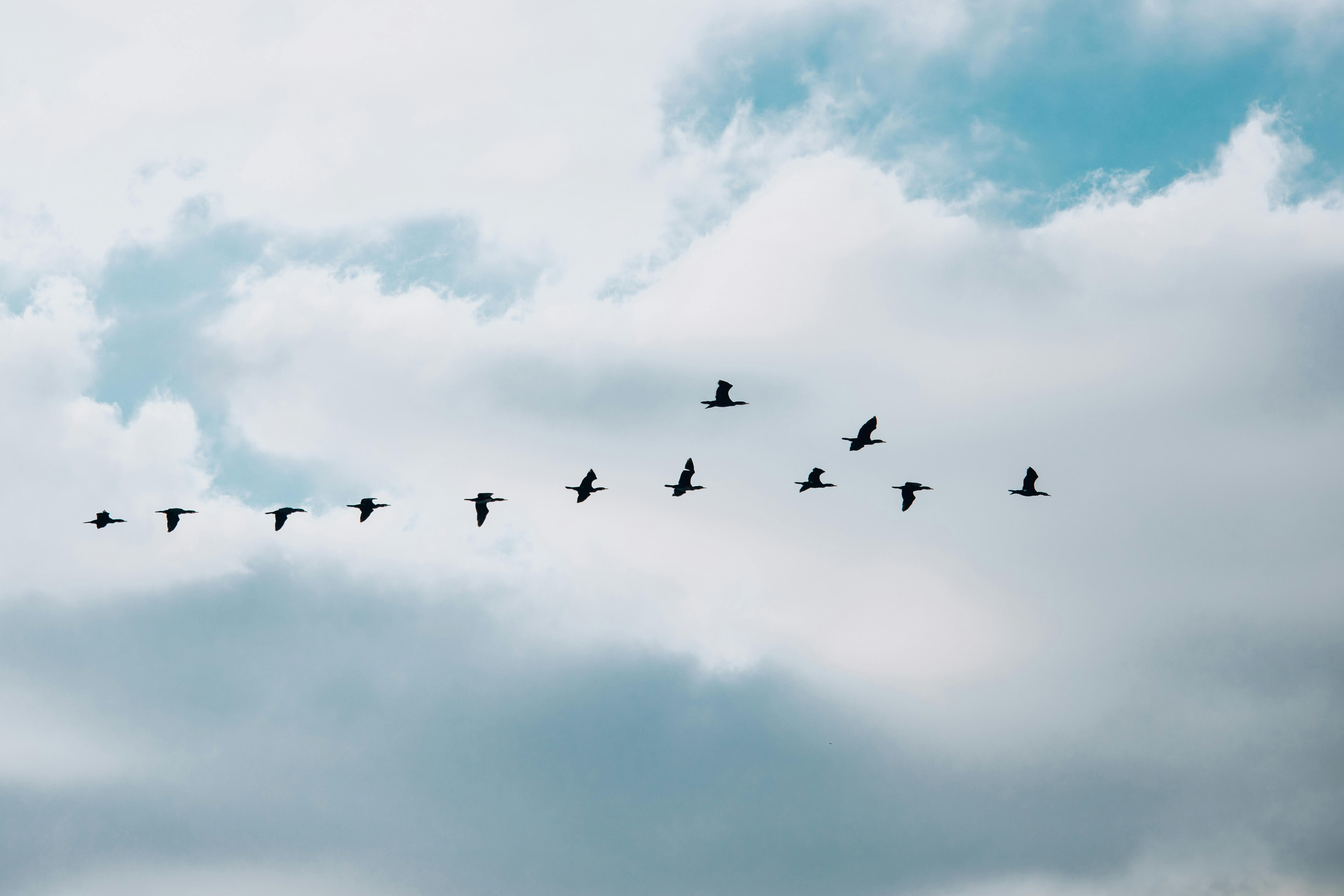 cloud migration analogy
